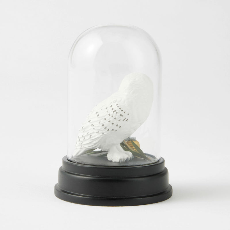 WZDWLD Hedwig Curiosity Cloche