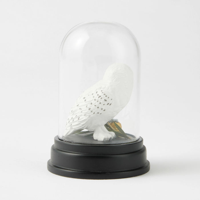 WZDWLD Hedwig Curiosity Cloche