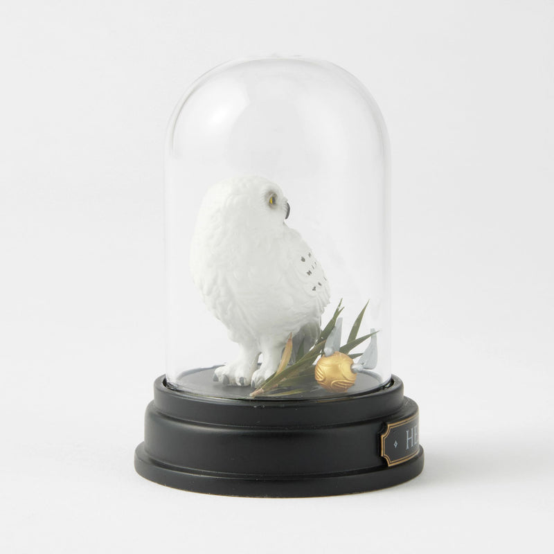 WZDWLD Hedwig Curiosity Cloche