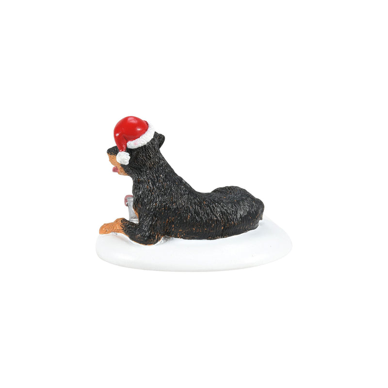 A Perfect Gift For Snots