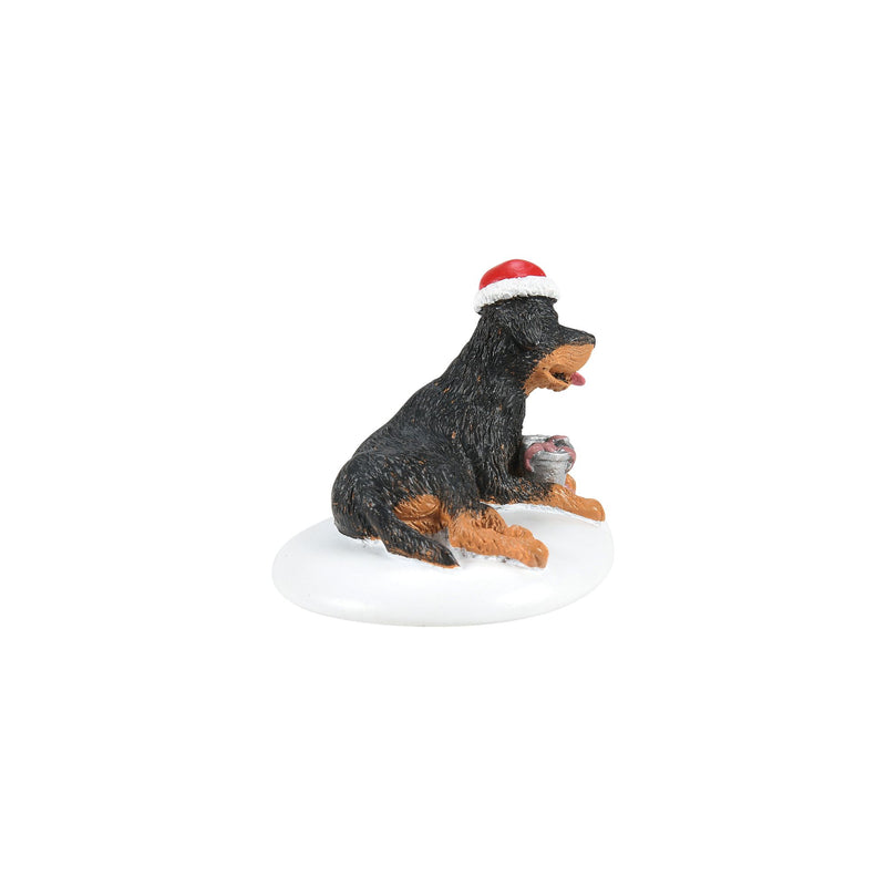 A Perfect Gift For Snots