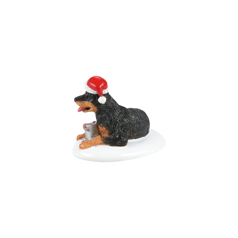 A Perfect Gift For Snots