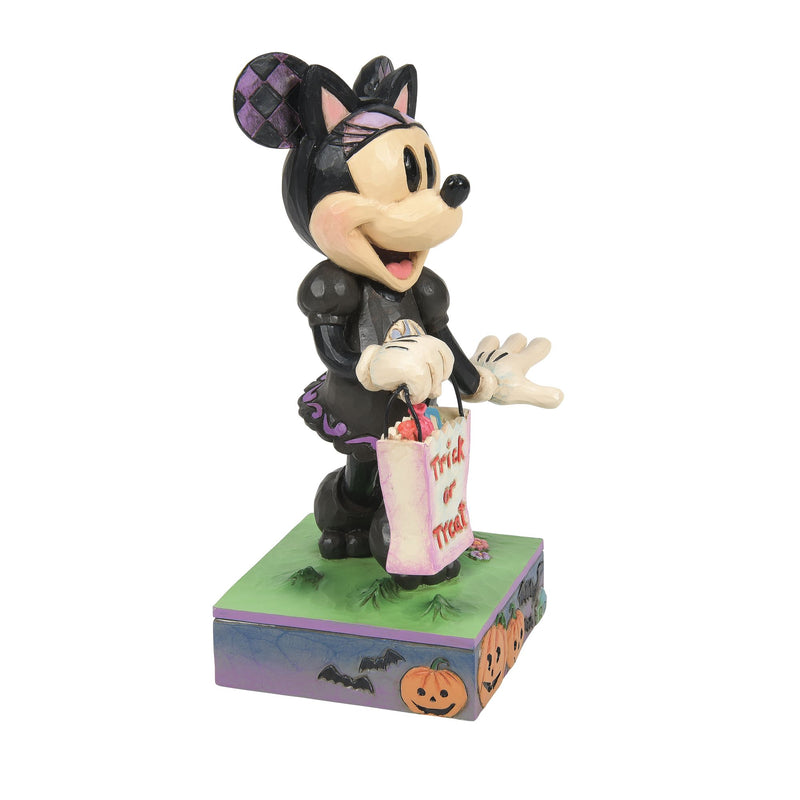 Minnie Black Cat Costume