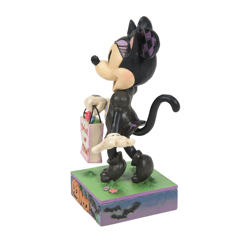 Minnie Black Cat Costume