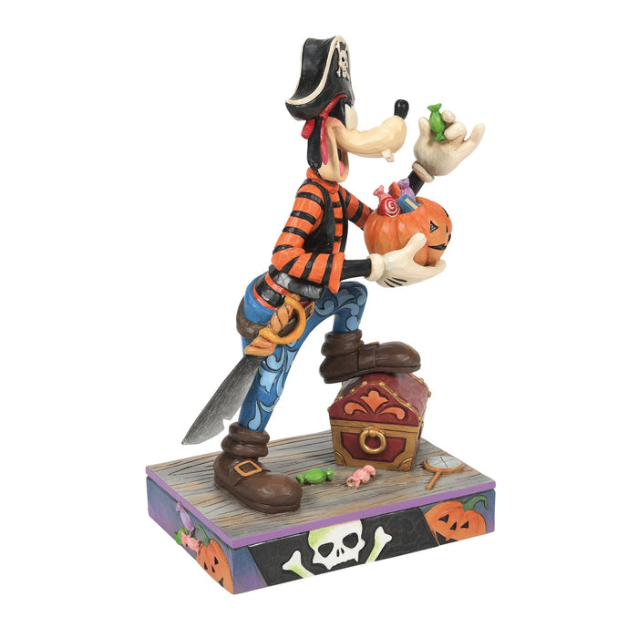 Goofy Pirate Costume