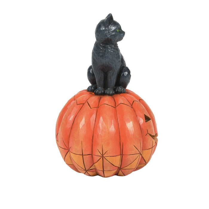 Black Cat on Pumpkin LED Fig