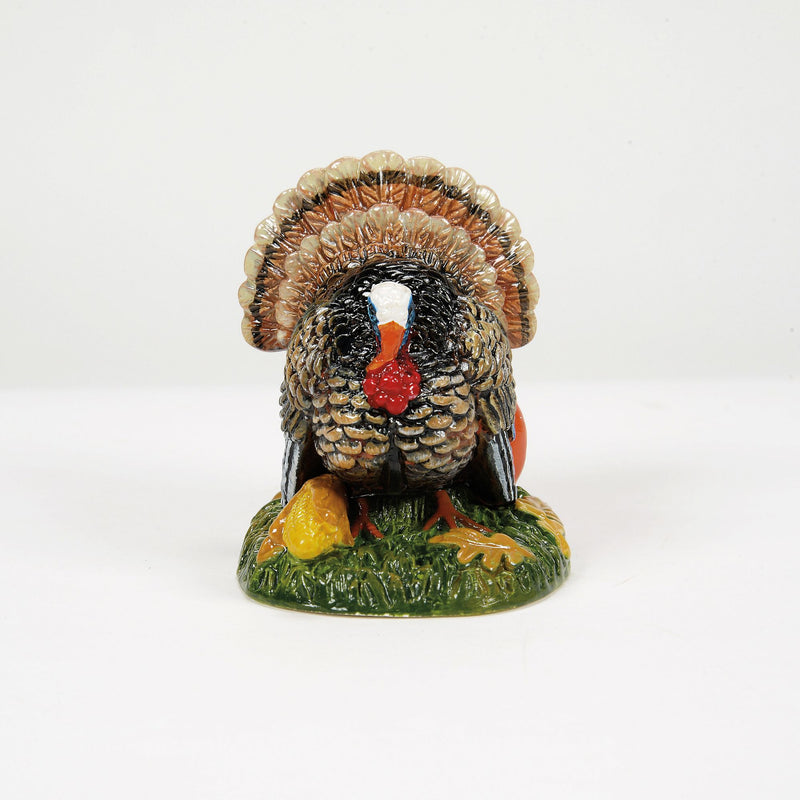 Tom Turkey