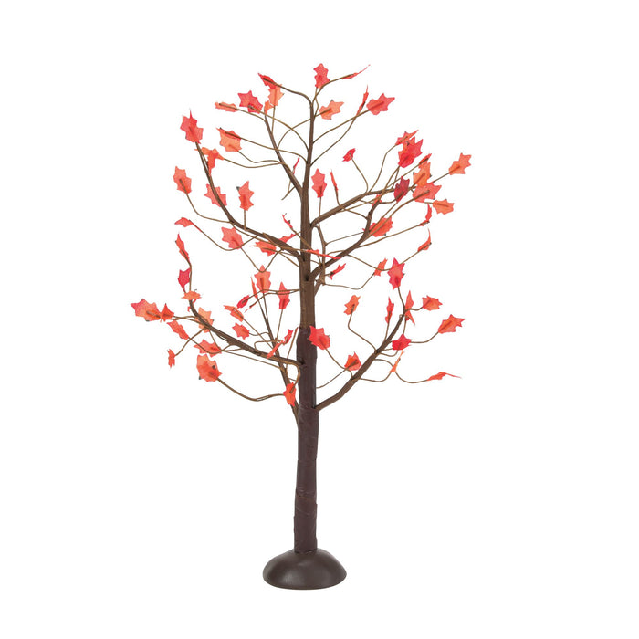 September Oaks S/3