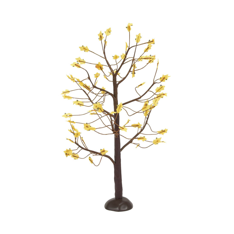September Oaks S/3