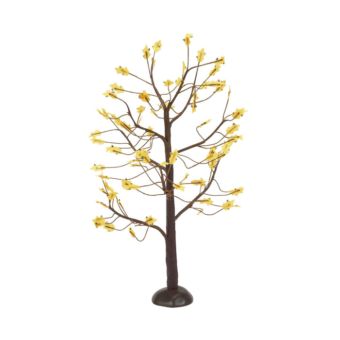 September Oaks S/3