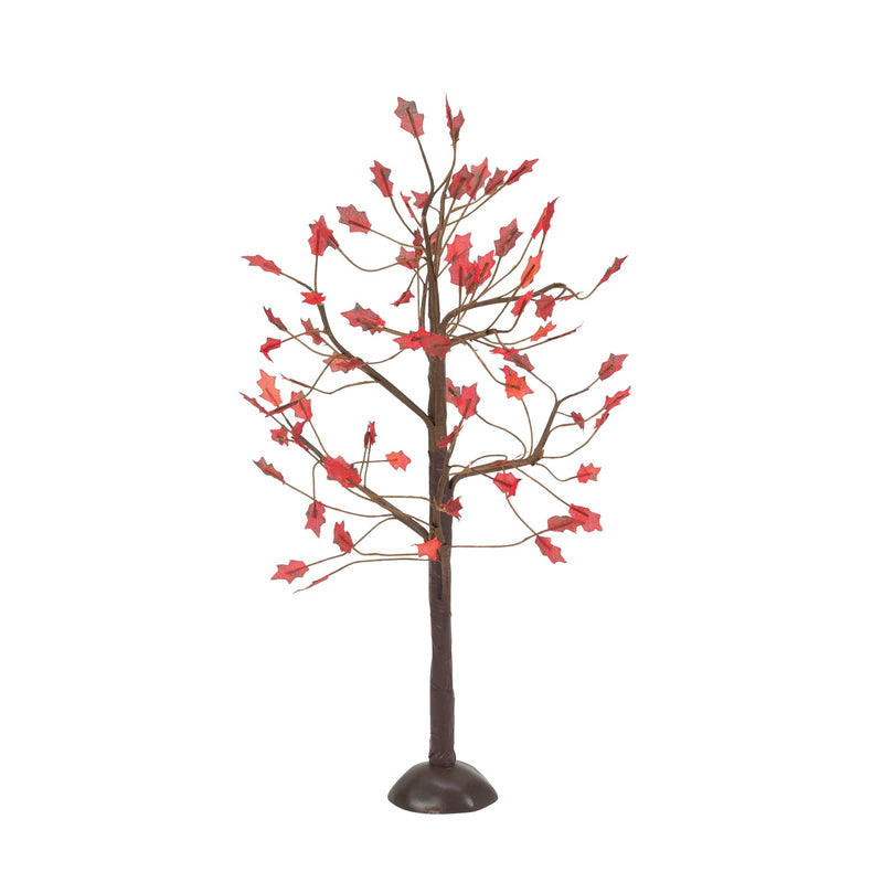 September Oaks S/3