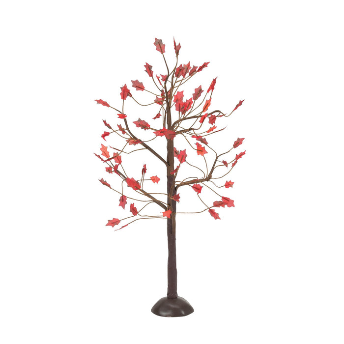 September Oaks S/3
