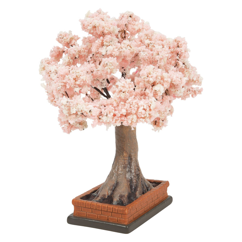 Cherry Blossom In Bloom