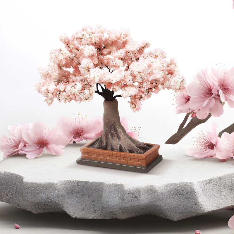 Cherry Blossom In Bloom