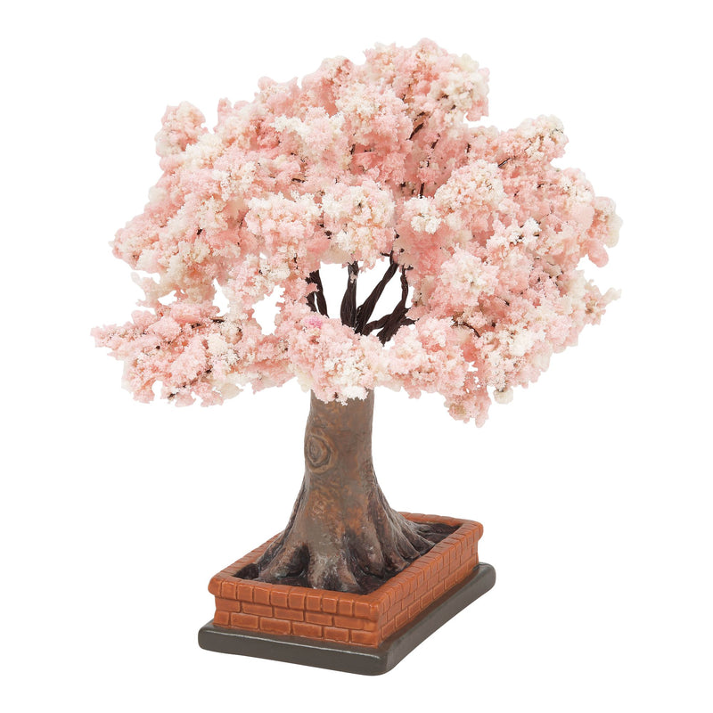 Cherry Blossom In Bloom