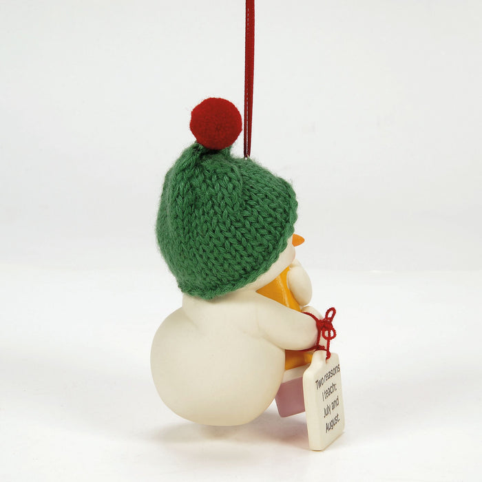 Two Reasons I Teach ornament
