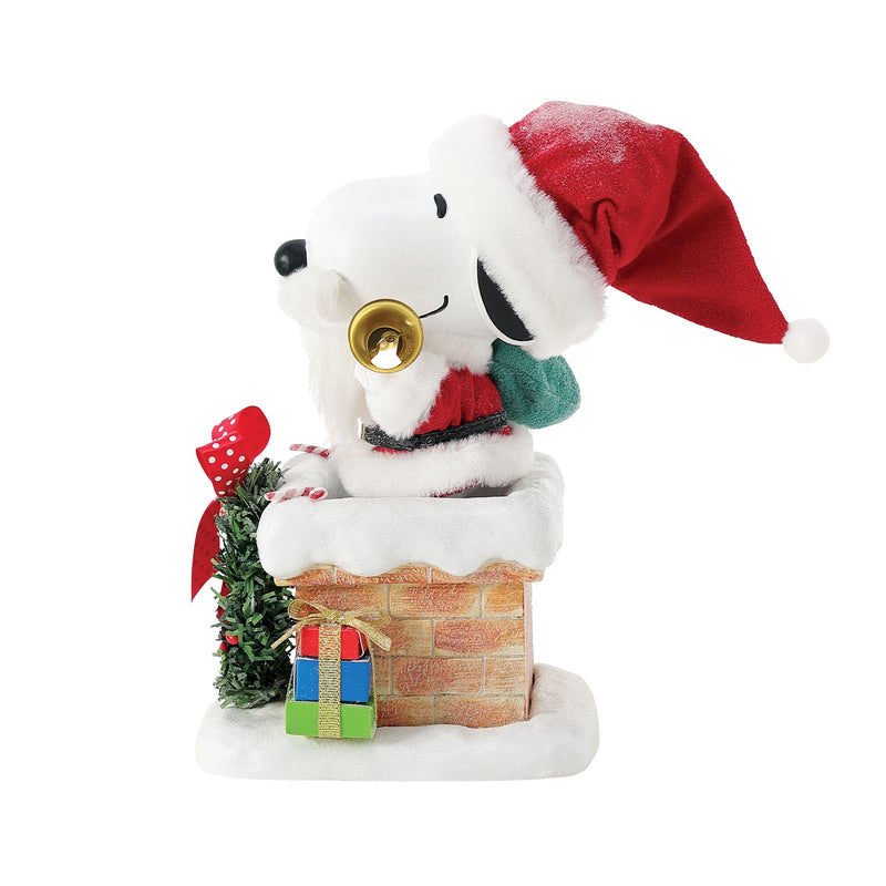 Snoopy on the Rooftop