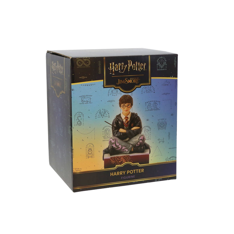 Harry Potter with Wand