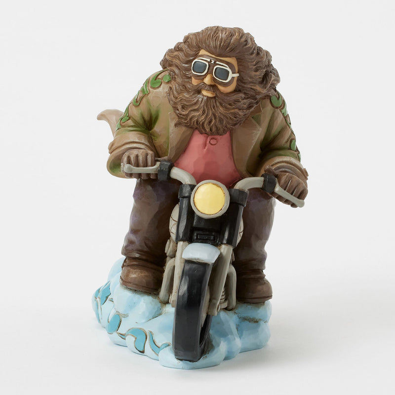 Hagrid on Bike