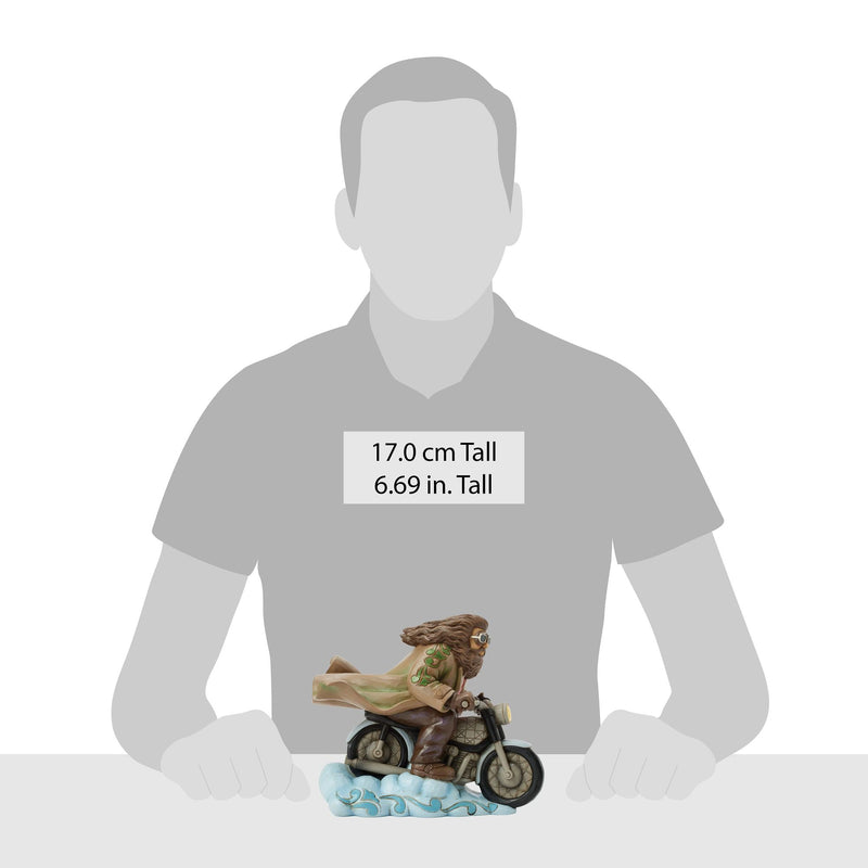Hagrid on Bike