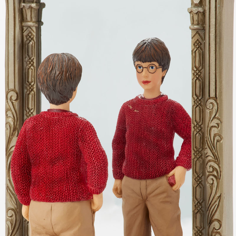 Harry & Mirror of Erised