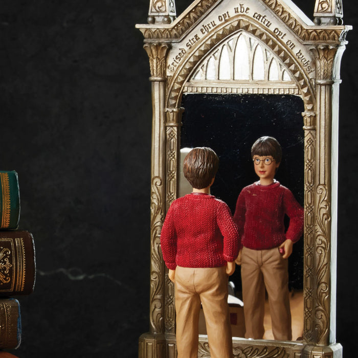Harry & Mirror of Erised
