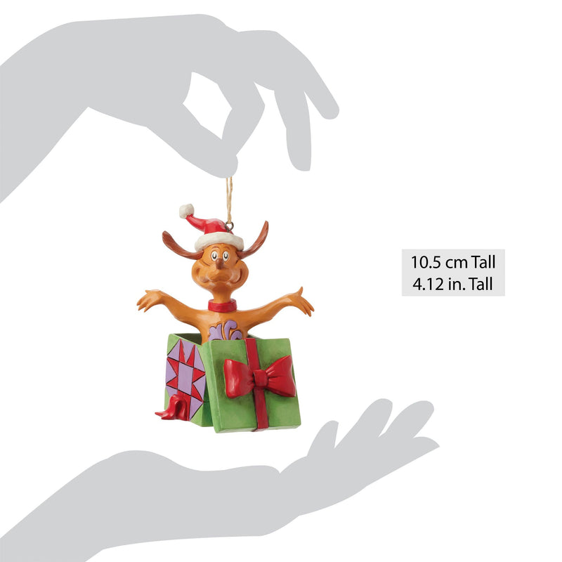 Max in Present Orn