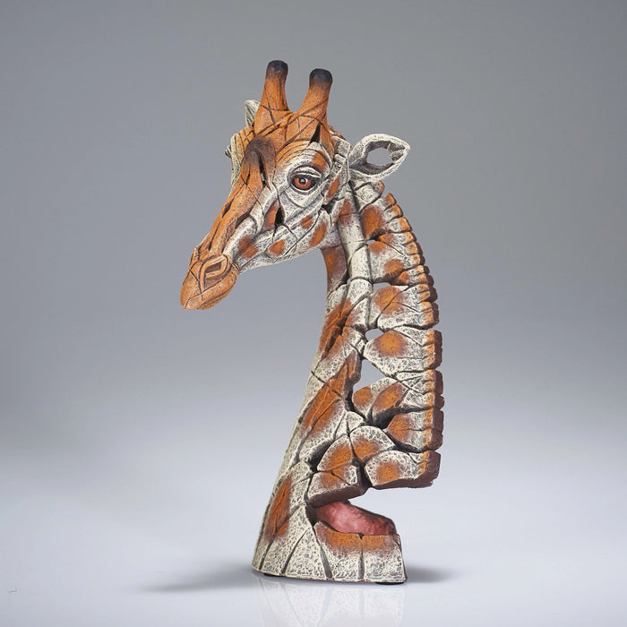 Miniature Giraffe Bust