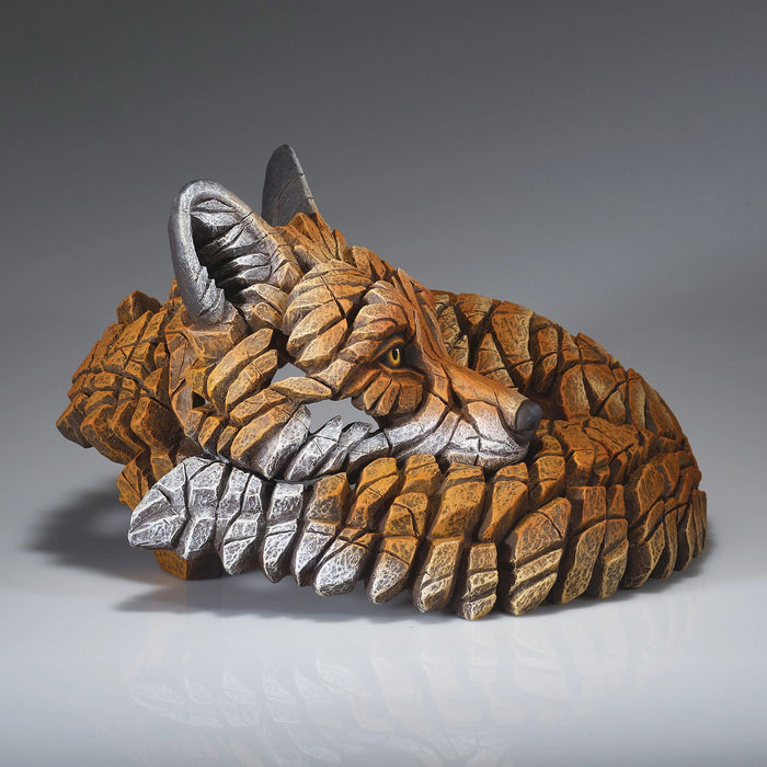 Curled Up Fox