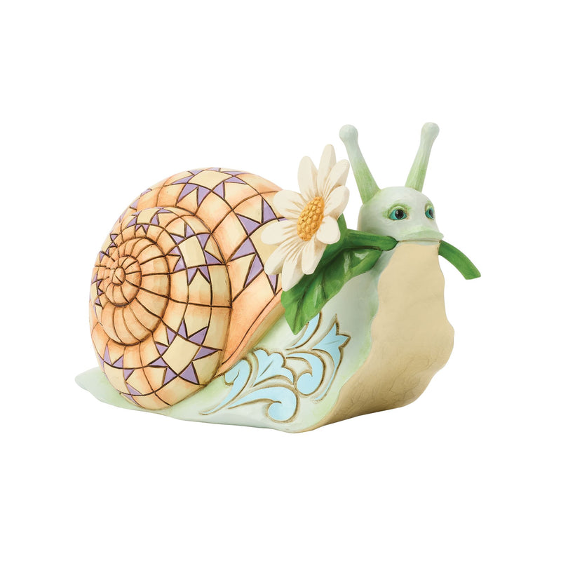 Snail with Daisy Flower Fig