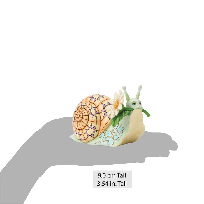 Snail with Daisy Flower Fig
