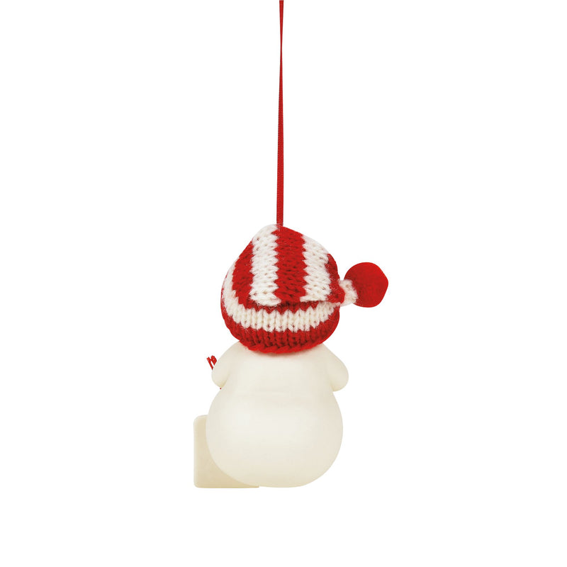 Stay Hydrated ornament