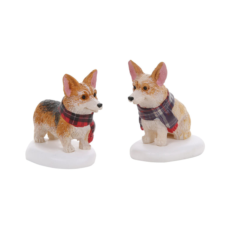 Highland Corgis S/2