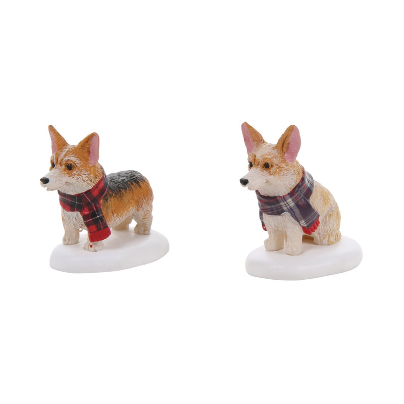 Highland Corgis S/2