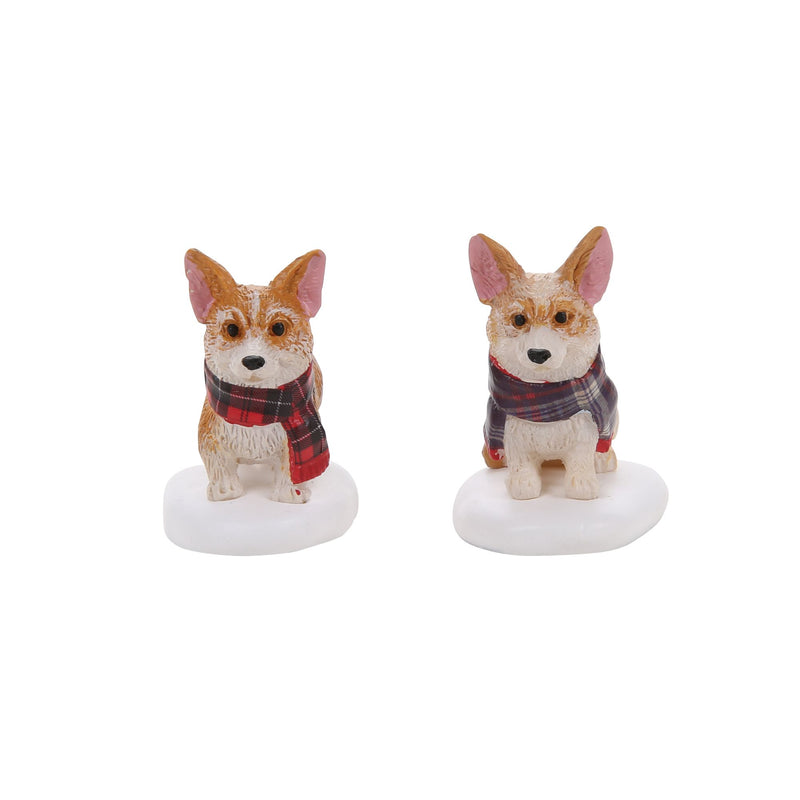 Highland Corgis S/2