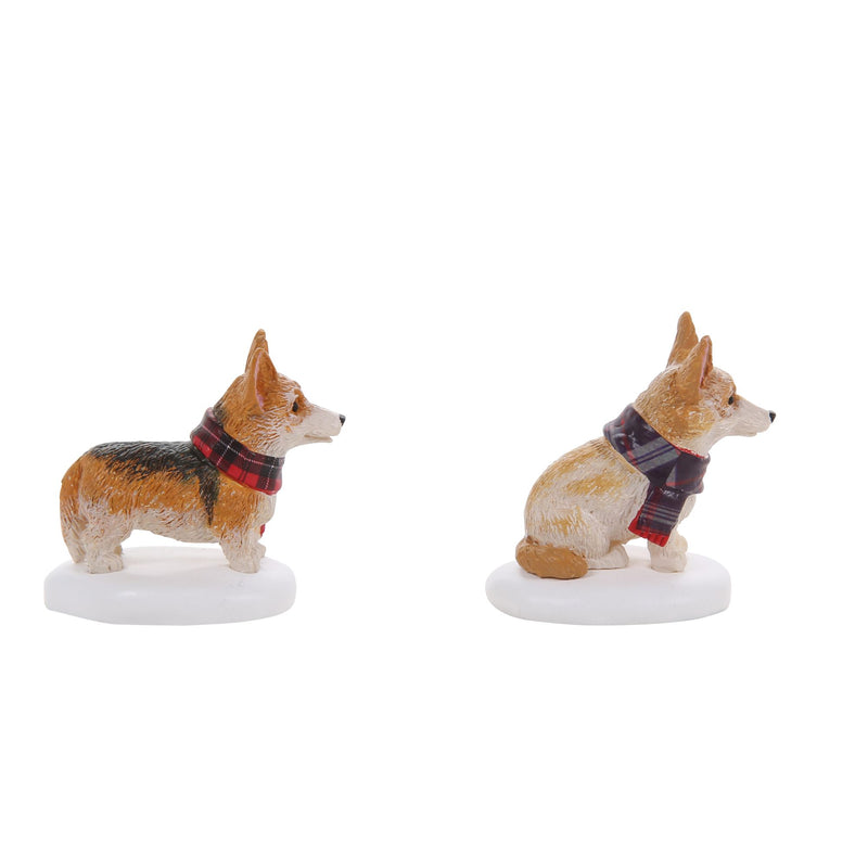 Highland Corgis S/2