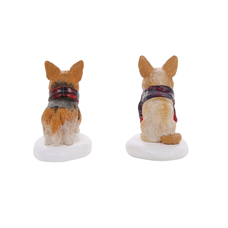 Highland Corgis S/2