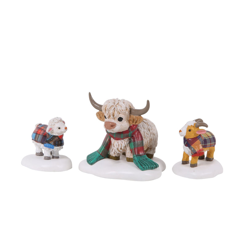 Highland Animals S/3