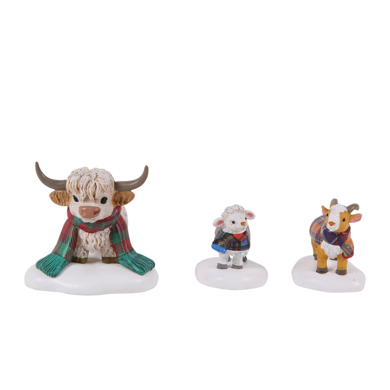 Highland Animals S/3
