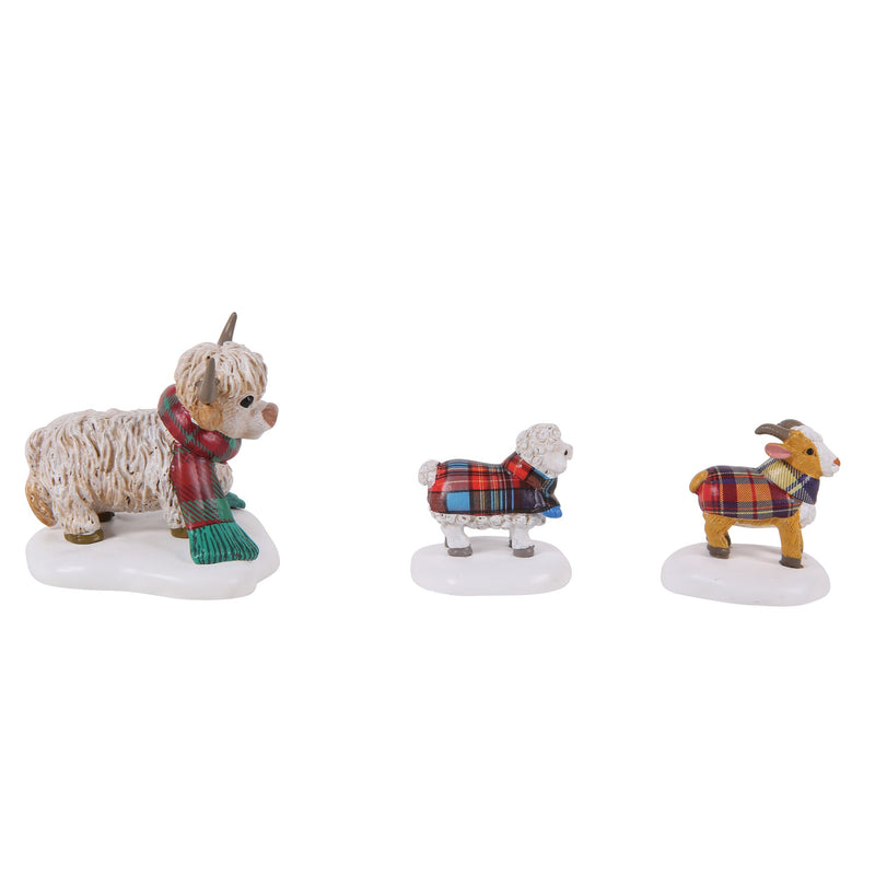 Highland Animals S/3