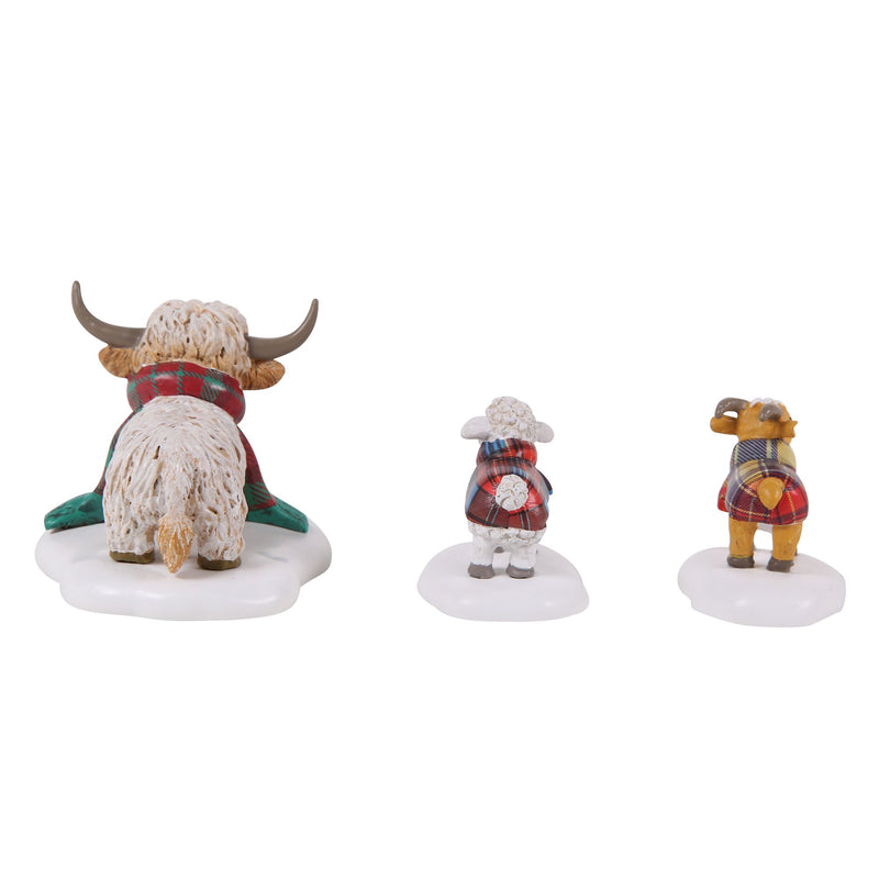 Highland Animals S/3