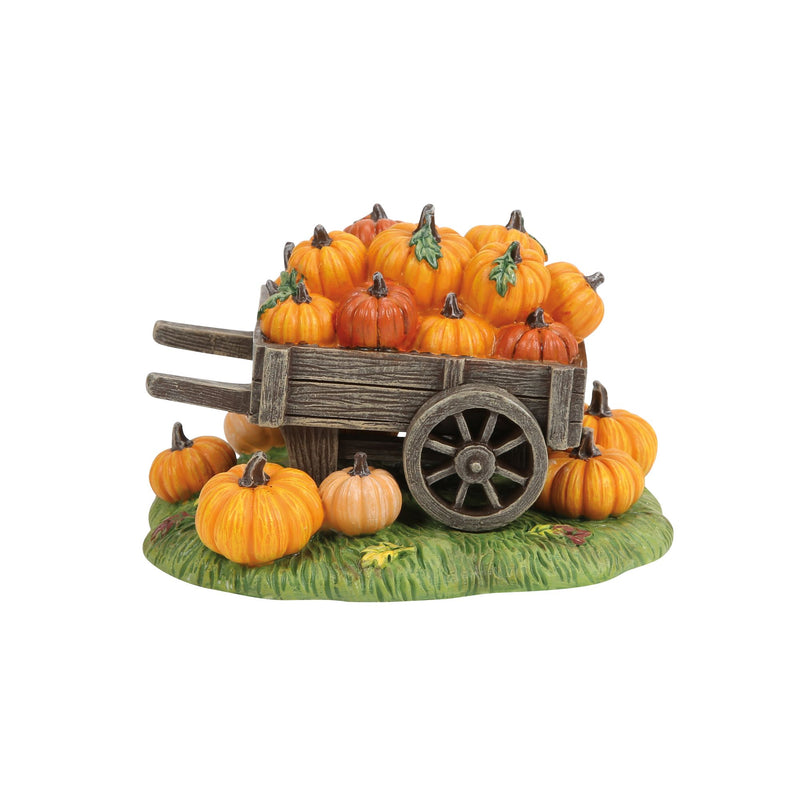 Hey There Pumpkin!