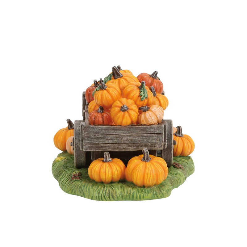 Hey There Pumpkin!