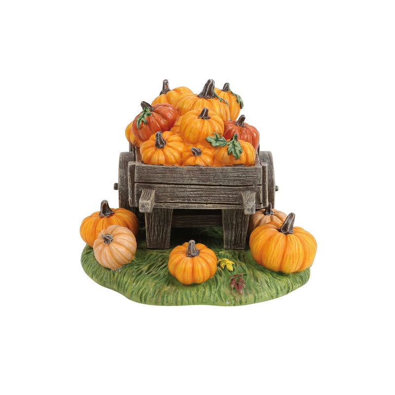 Hey There Pumpkin!