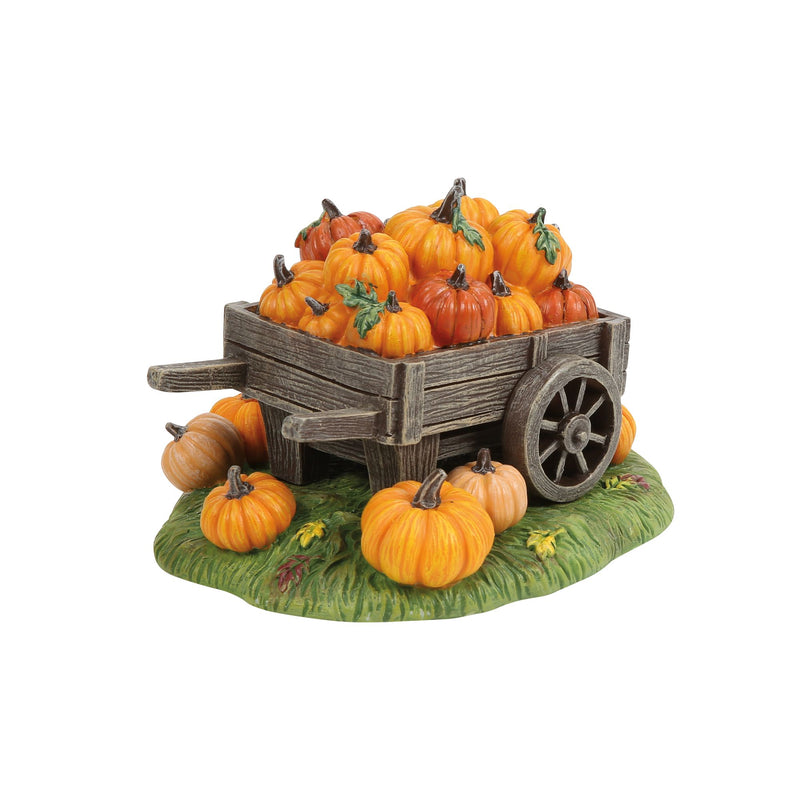 Hey There Pumpkin!