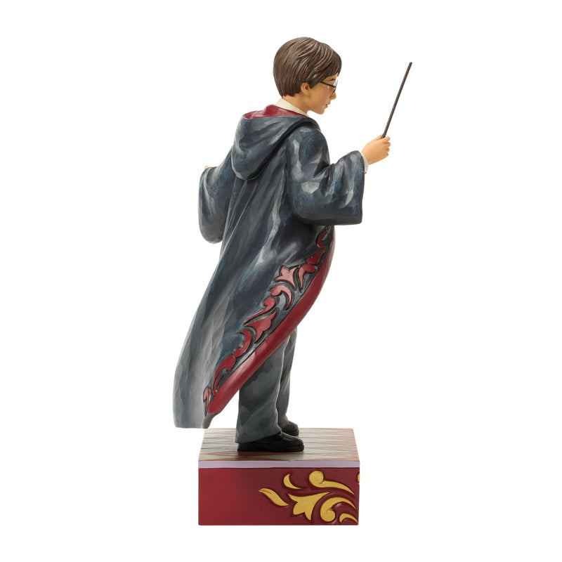 Harry Potter Magical Moment