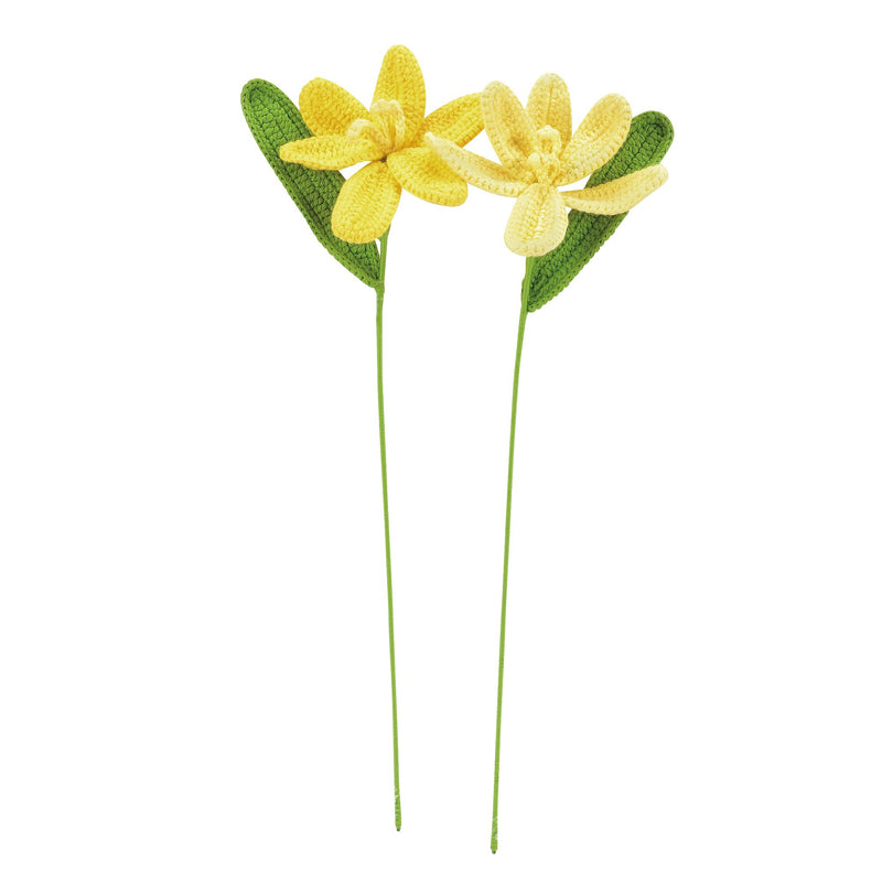 Tulips Yellow, 2 asst