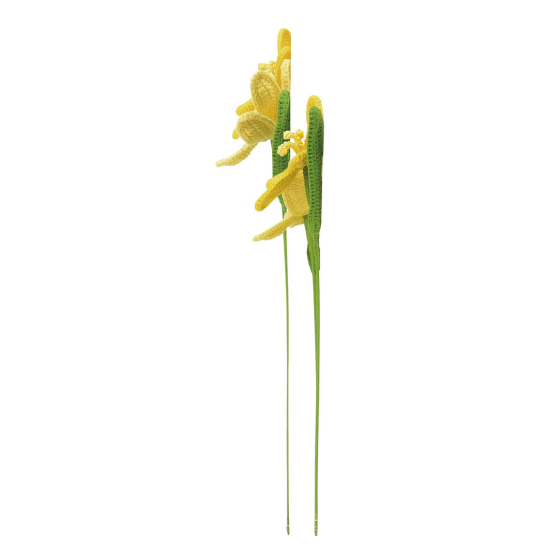 Tulips Yellow, 2 asst