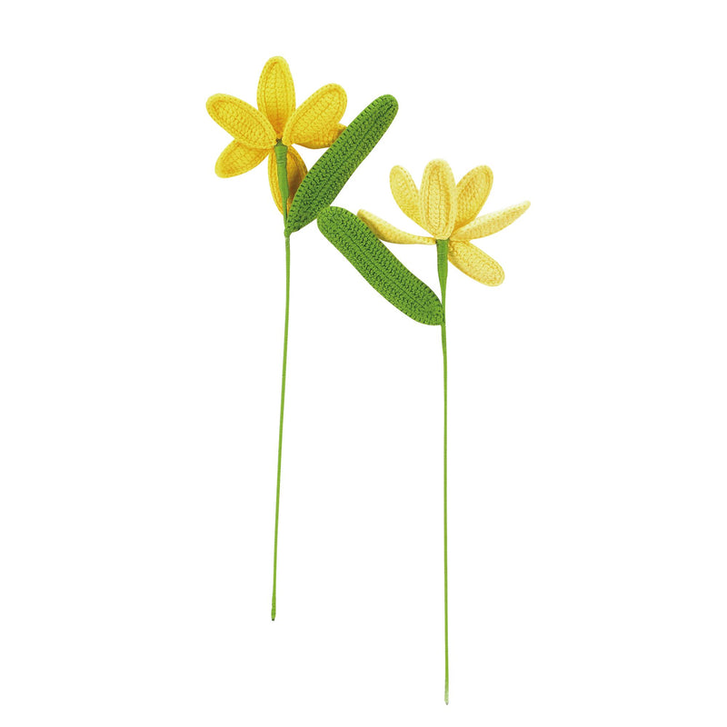 Tulips Yellow, 2 asst
