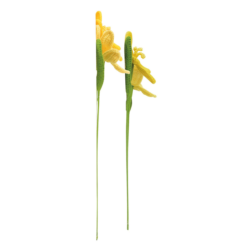 Tulips Yellow, 2 asst